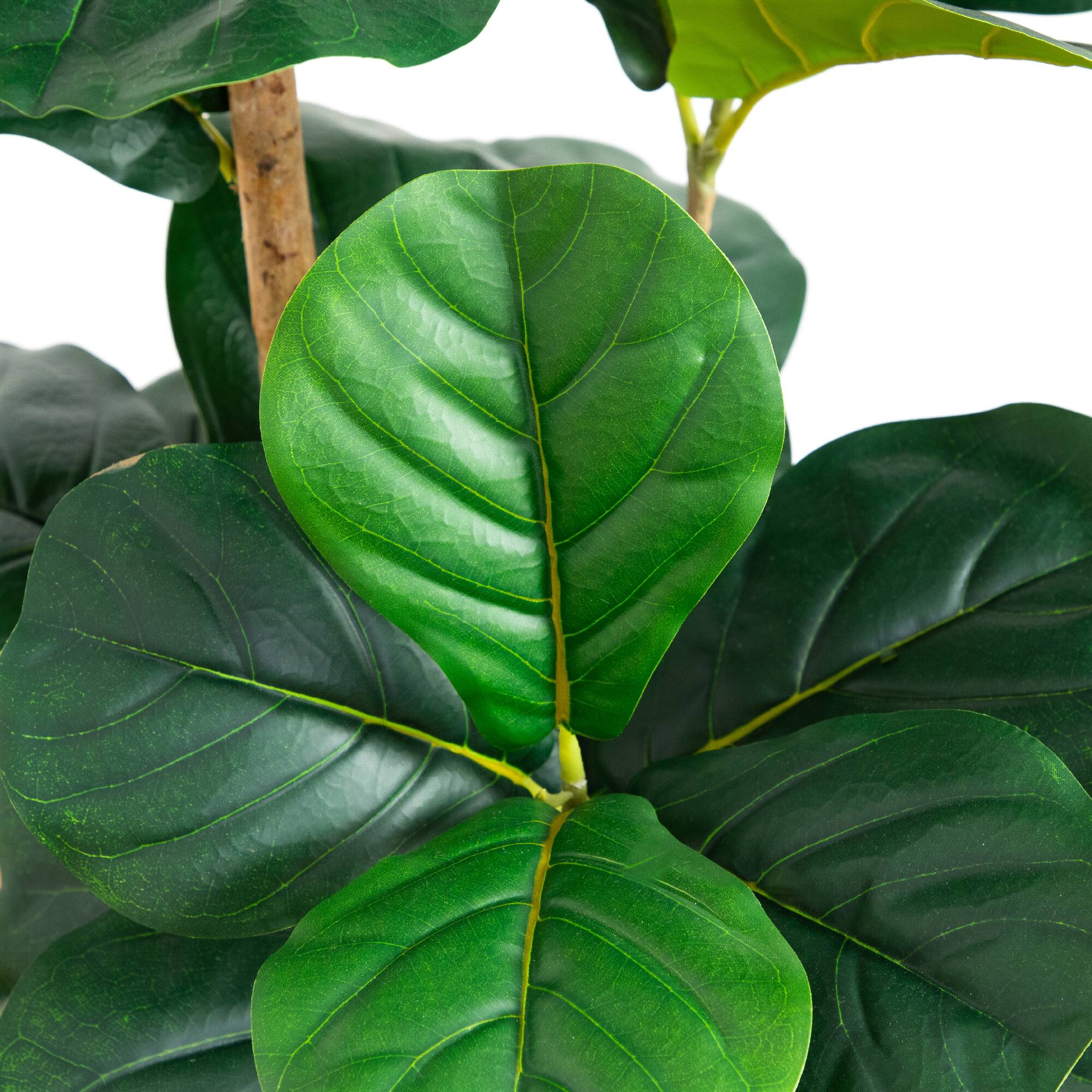 4ft. Fiddle Leaf Tree in Decorative White Planter